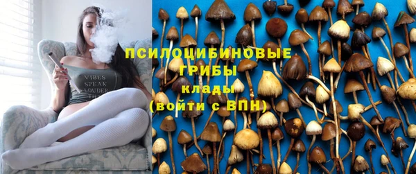 герыч Алексин